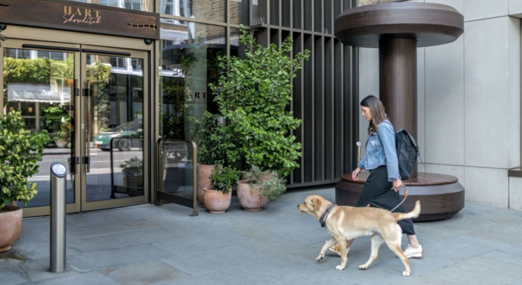 Hart Shoreditch Hotel London Foto Hilton